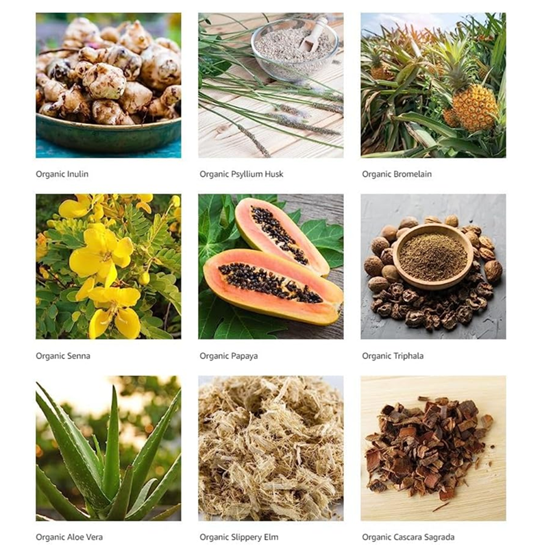 Greenworks Nature's Digest